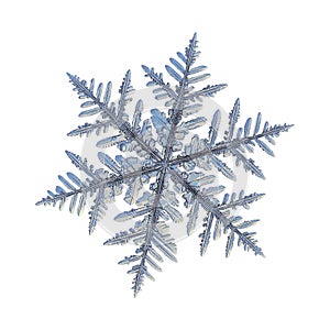 Real snowflake isolated on white background