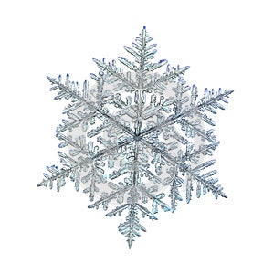 Real snowflake isolated on white background