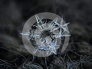 Real snowflakes glowing on dark textured background