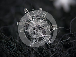 Real snowflakes glowing on dark textured background