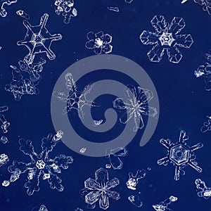 Real Snowflakes Isolated on Glass Plate