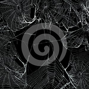 Real spider webs hanging together to make a frame. Halloween background photo