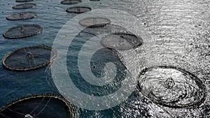 Real time drone aerial video oysters and mussels farm