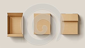 This is a real-time modern illustration of a brown open cardboard box. The package is a blank craft carton of various