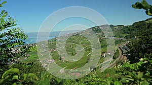 Real time over A9 highway through lavaux vineyard and lake Geneva. Puidoux, Vaud Canton, Switzerland. UNESCO world heritage site.