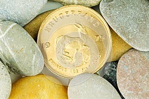 Real value hidden under pebble stones, golden krugerrand