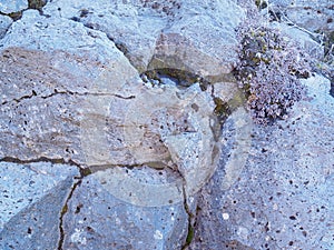 Real vulcanic rock surface
