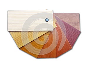 Real wood color samples on a white background