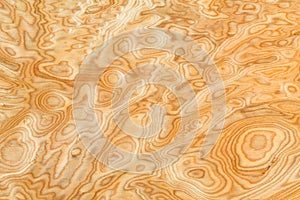 Real wood grain texture