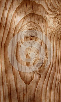 Real Wood Photograph