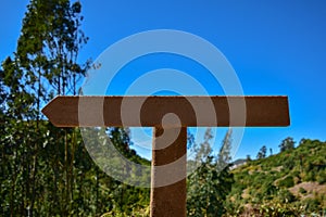 Real wooden blank signpost with a forest background