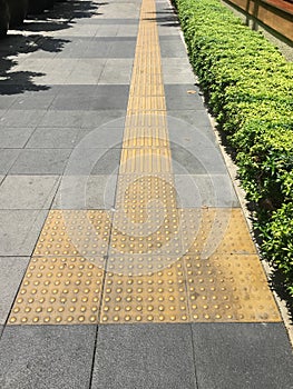 Real Yellow tiles pathway for blindness people