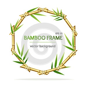 Realistic 3d Detailed Bamboo Shoots Circle Frame. Vector