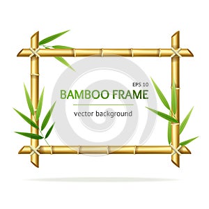 Realistic 3d Detailed Bamboo Shoots Frame. Vector