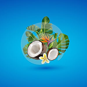 Realistic 3d Detailed Brown Exotic Whole Coconut with flowers, Half and Green Leaf. Vector illustration of Fresh