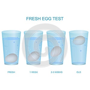 Realistic 3d Detailed Fresh Egg Test Concept Card Poster. Vector