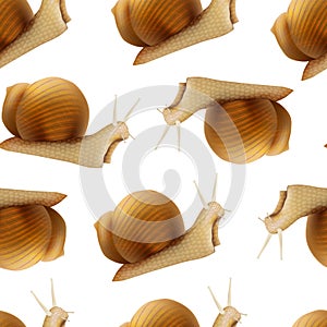 Realistic 3d Detailed Slimy Snail with Shell Seamless Pattern Background. Vector