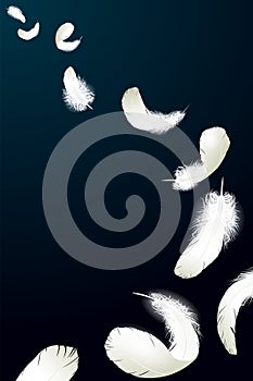 Realistic 3d detailed white swan pigeon feathers fluff black blue background. Vector illustration. Falling feathers