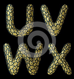 Realistic 3D letter set U, V, W, X made of gold shining metal .