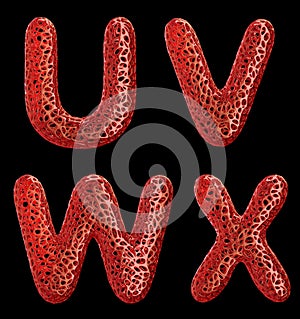 Realistic 3D letters set U, V, W, X made of red plastic.
