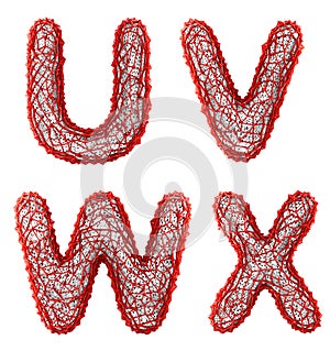 Realistic 3D letters set U, V, W, X made of red plastic.