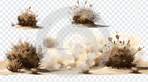 Realistic 3D modern clip art of tumbleweeds and sandstorm cloud, desert plants, and sand dust. Dry bush and twigs in