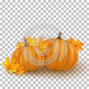 Realistic 3d pumpkins with maple leaves isolated on transparent background. Fall background for Thanksgiving or Halloween. Autumn