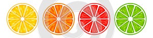 Realistic 3d Vector Illustration Set of sliced orange, grapefruit, lemon, and lime. Colourful citrus background. EPS 10