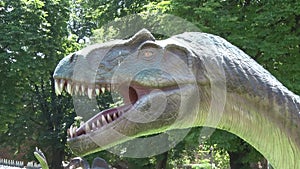 Realistic Allosaurus dinosaur in park Head