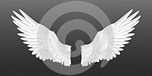 Realistic angel wings. White isolated pair of falcon wings, 3D bird wings design template. Vector concept