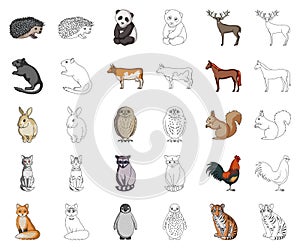 Realistic animals cartoon,outline icons in set collection for design. Wild and domestic animals vector symbol stock web