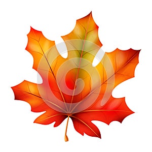 Realistic autumn leaves. Fall orange wood foliage maple, bright red and orange colors fallen leaf. Canadian tree, 3d