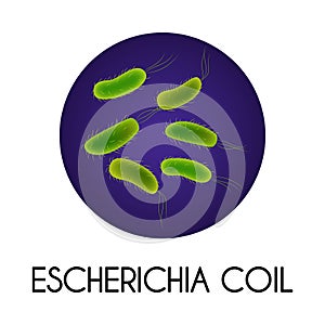 Realistic Bacteria Illustration