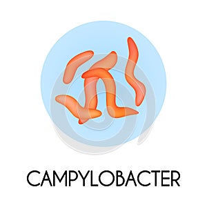 Realistic Bacteria Illustration