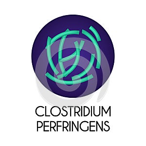 Realistic Bacteria Illustration