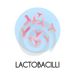 Realistic Bacteria Illustration