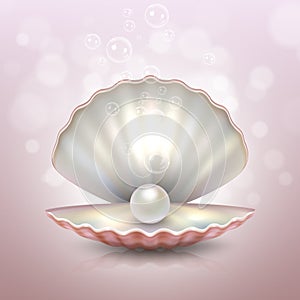 Realistic beautiful natural open sea pearl shell with reflection closeup