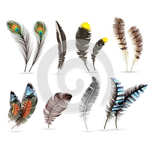Realistic bird feathers. Detailed colorful feather of different birds. 3d vector collection isolated on white background