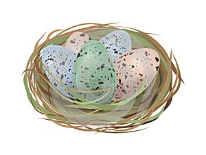 Realistic bird`s nest with blue, pink and green speckled eggs. Quail Easter eggs for holiday celebration design