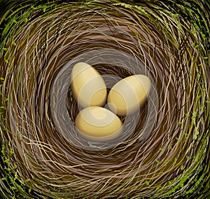 Realistic bird s nest with three eggs, Easter in nature,