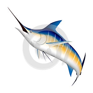 Realistic blue Marlin fish