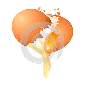 Realistic broken chicken egg with flowing yolk on a white background. Design element