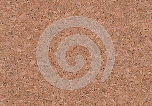 Realistic Brown Cork Texture