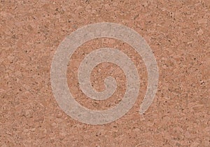 Realistic Brown Cork Texture