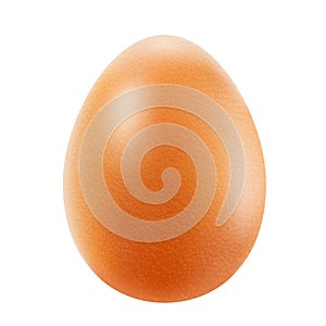 Realistic brown egg isolated on white background