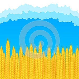 Realistic bunch of wheat, oats or barley isolated on white background. Vector stock illustration.