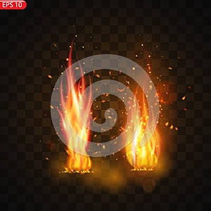 Realistic burning fire flames vector