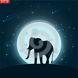 Realistic burning fire flames vector effect with transparency for design.