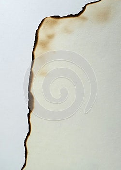 Realistic Burnt Edge of Paper against White Background