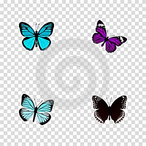 Realistic Butterfly, Spicebush, Sky Animal And Other Vector Elements. Set Of Butterfly Realistic Symbols Also Includes